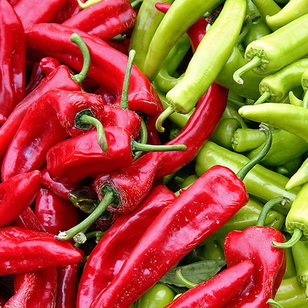 anaheim chili flower seeds