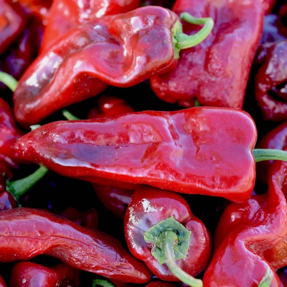 Ancho Poblano Pepper Seeds for Planting – Heirloom, Non-GMO Vegetable Garden Seeds