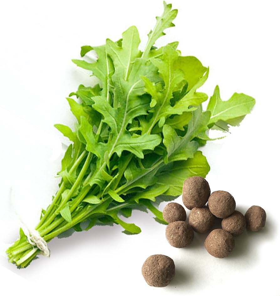 Arugula Disks herb seeds
