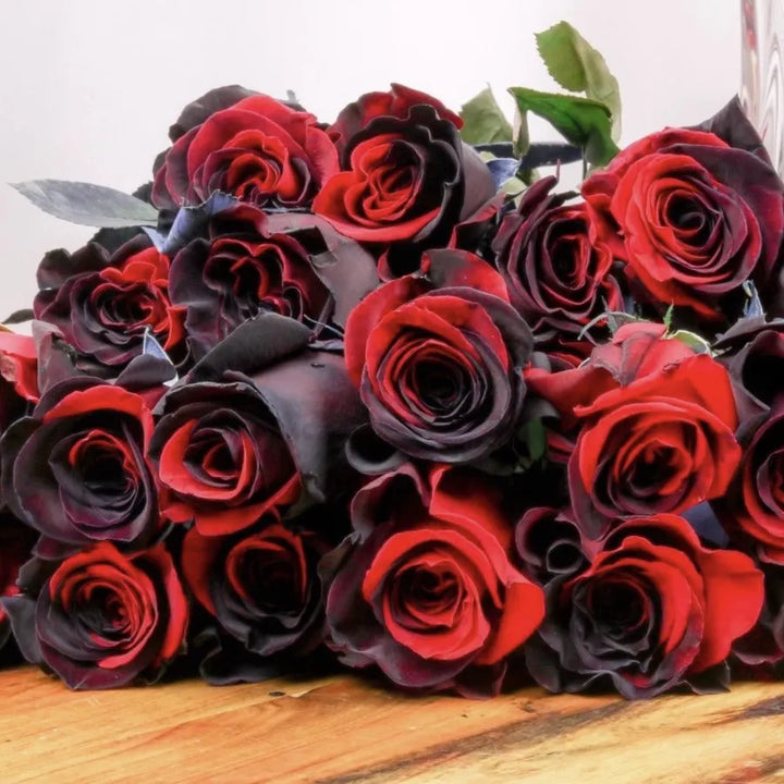 Red Black Rose Flower Seeds for Planting – Heirloom Non-GMO High Germination Organic Garden Seeds