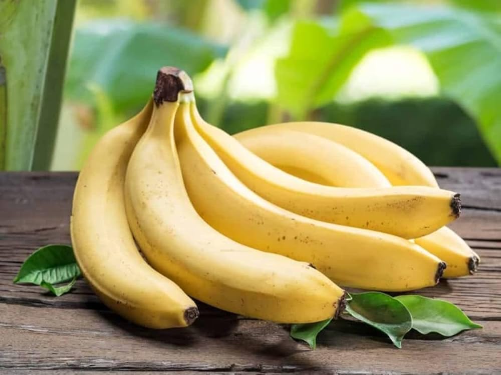 Banana Fruit Seeds – Heirloom, Non-GMO, High Germination Organic Garden Seeds