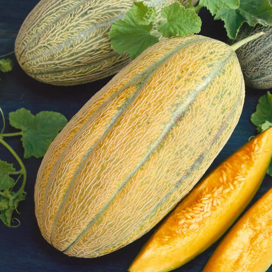 banana melon flower seeds