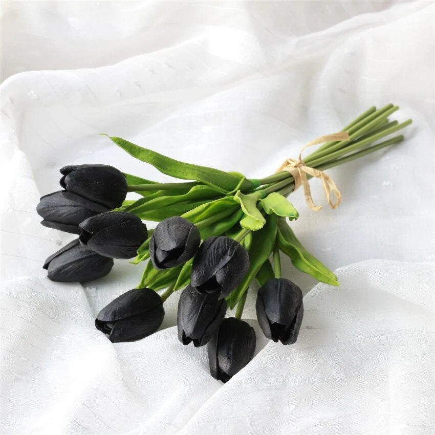 Tulip Flower Seeds Black for Planting – Heirloom Non-GMO High Germination Organic Seeds