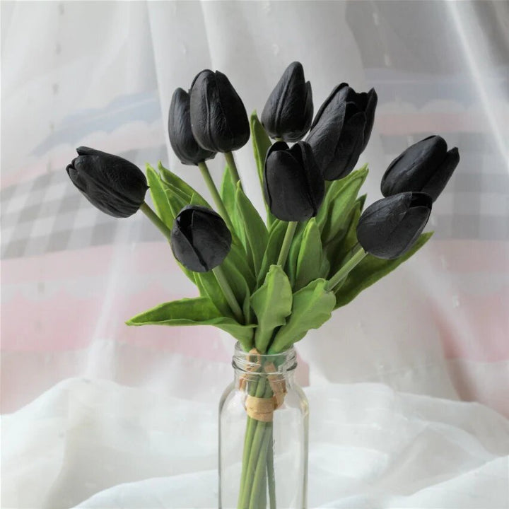 Tulip Flower Seeds Black for Planting – Heirloom Non-GMO High Germination Organic Seeds