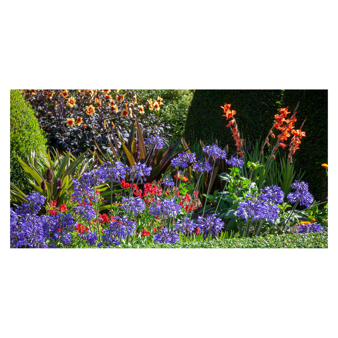 Brookfield V4 gallery source 38630727254268
