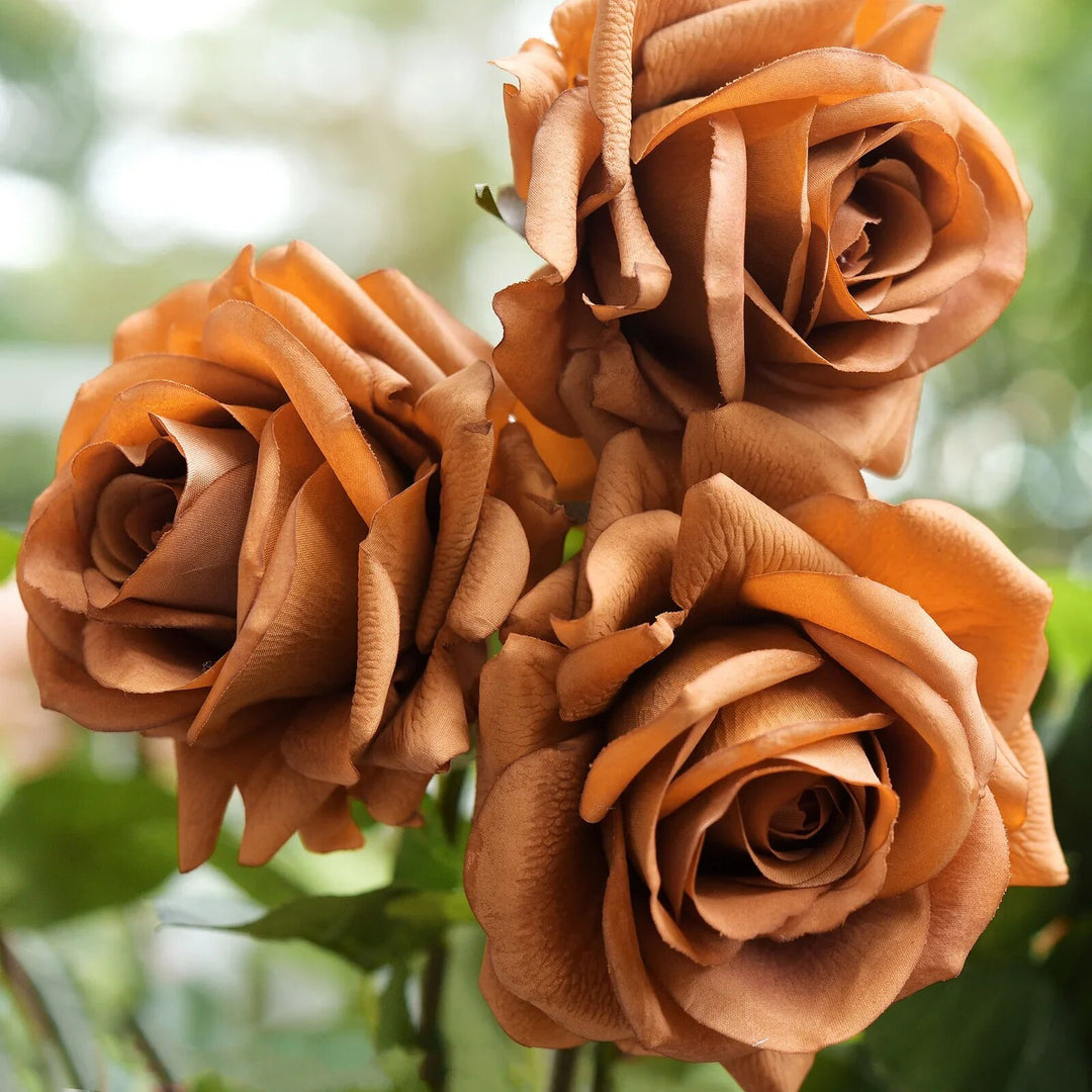 Rose Flower Seeds Brown – Heirloom, Non-GMO, High Germination, Organic Garden Seeds for Planting