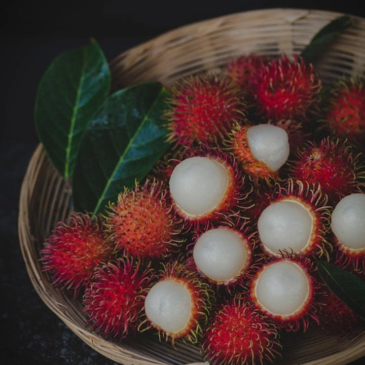 Rambutan Seeds Red for Planting – Heirloom Non-GMO High Germination Organic Garden Seeds