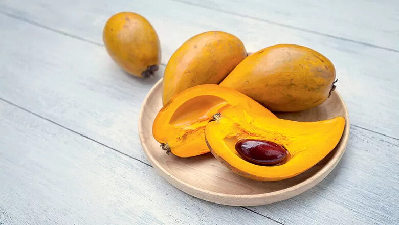 Canistel Fruit Seeds for Planting – Heirloom Non-GMO, High Germination Organic Garden Seeds