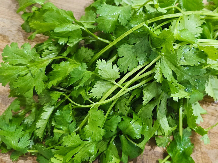 Organic Leisure Splits Cilantro Seeds for Planting – Heirloom Non-GMO High Germination Organic Garden Seeds