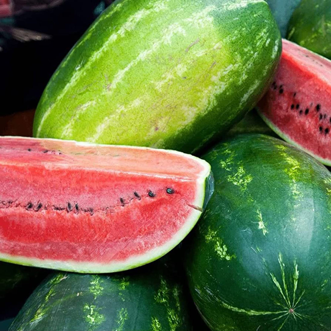 sangria hybrid flower seeds