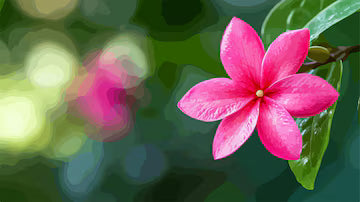 Rosa Jasminblüten-Samen – Alte Sorte, gentechnikfrei, hohe Keimrate