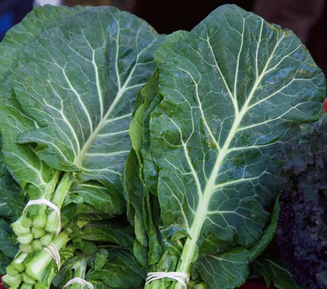 Green Brassica herb seeds