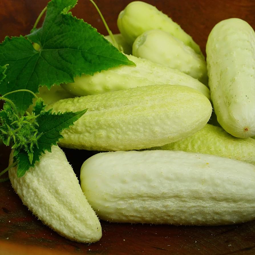white cucumber flower seeds