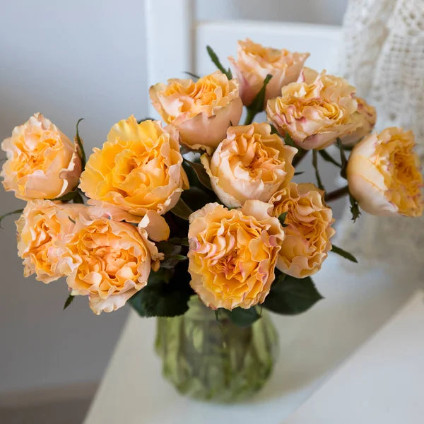 Orangene Eustoma Blumensamen – Alte, gentechnikfreie Bio-Gartensamen