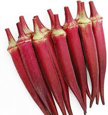 Red Okra Seeds – Heirloom Non-GMO High Germination Organic Garden Seeds