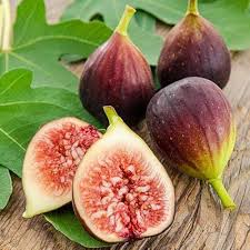 Fig Seeds Brown Heirloom Non-GMO High Germination Organic Garden Seeds for Planting
