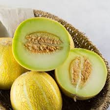 Lemon Drop Melon Seeds for Planting – Heirloom Non-GMO High Germination Organic Garden Seeds Sweet Citrusy Melon Seeds for Your Garden