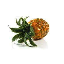 Green Pineapple Seeds for Planting – Heirloom Non-GMO High Germination Organic Garden Seeds