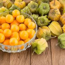 Semillas de Physalis Amarillo Ecológicas Sin OGM de Alta Germinación para Siembra
