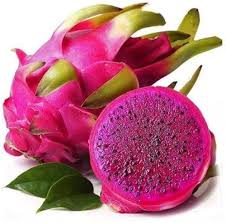Dragon Seeds Organic Pink Heirloom Non-GMO High Germination Organic Garden Seeds for Planting