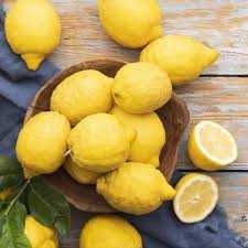 Meyer Lemon Plant Seeds for Planting – Heirloom Non-GMO High Germination Organic Garden Seeds for Zesty Refreshing Lemons