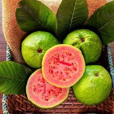 Ruby Supreme Guava Fruit Seeds for Planting – Heirloom Non-GMO High Germination Organic Garden Seeds Tropical Fruit Seeds for Home Garden