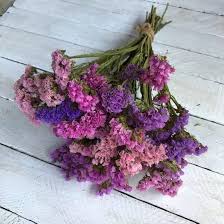 Statice Flower Seeds Purple Heirloom Non-GMO High Germination Organic Garden Seeds for Planting
