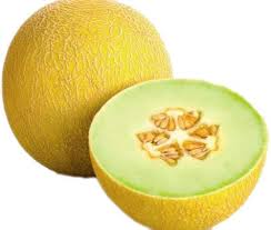 Yellow Galia Melon Seeds Heirloom Non-GMO High Germination Organic Garden Seeds for Planting