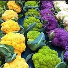 Mixed Cauliflower Seeds Heirloom Non-GMO High Germination Organic Garden Seeds for Planting