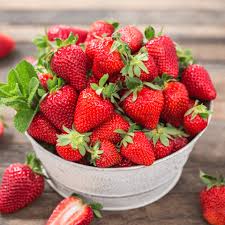 Japanese Hokowase Strawberry Fruit Seeds for Planting – Heirloom Non-GMO High Germination Organic Garden Seeds Sweet Early-Season Seeds for Planting