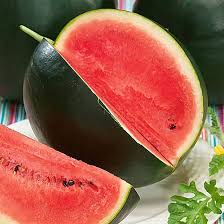Densuke Watermelon Seeds for Planting – Heirloom Non-GMO High Germination Organic Garden Seeds