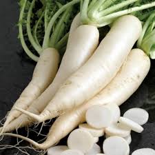 White Radish Seeds – Heirloom Non-GMO High Germination Organic Garden Seeds