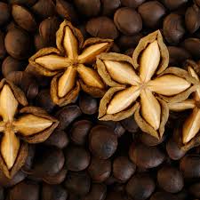 Sacha Inchi (Mountain Peanut) Plant Seeds for Planting – Heirloom Non-GMO High Germination Organic Garden Seeds Superfood Seeds for Planting