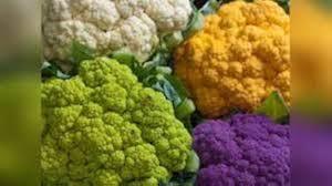 Mixed Cauliflower Seeds – Heirloom, Non-GMO, High Germination Organic Garden Seeds Planting