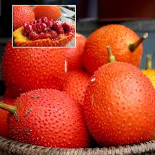Gac Fruit Seeds – Heirloom Non-GMO High Germination Organic Garden Seeds for Planting Exotic Nutritious Tropical Variety