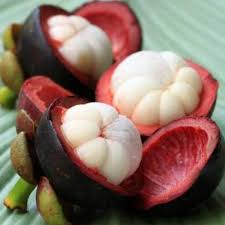 Red Mangosteen Seeds Heirloom Non-GMO High Germination Organic Garden Seeds for Planting