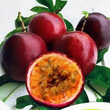 Passion Seeds Red Heirloom Non-GMO High Germination Organic Garden Seeds