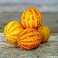 Yellow Annes Melon Seeds Heirloom Non-GMO High Germination Organic Garden Seeds for Planting