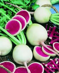 Mixed Radish – Heirloom, Non-GMO, High Germination Organic Garden Seeds Planting