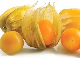 Semillas de Physalis Amarillo Ecológicas Sin OGM de Alta Germinación para Siembra