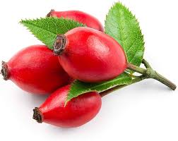 Heirloom Rosehip Fruit Seeds for Planting – High Germination Non-GMO Organic Garden Seeds