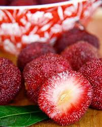 Bay Berry Seeds Red Heirloom Non-GMO High Germination Organic Garden Seeds for Planting