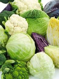 Mixed Cabbage Seeds – Heirloom, Non-GMO, High Germination Organic Garden Seeds Planting