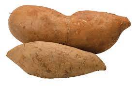 Bogachiel Yacon Seeds for Planting – Heirloom Non-GMO Organic Vegetable Seeds, High Germination Root Crop for Home Garden