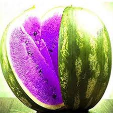 Green Purple Watermelon Fruit Seeds for Planting – Heirloom, Non-GMO, High Germination Organic Garden Seeds