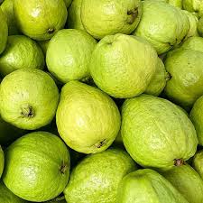 Crystal Guava (Indonesia) Fruit Seeds for Planting – Sweet Tropical Harvests, Heirloom &amp; Non-GMO Seeds for Planting High Germination Organic Garden Seeds