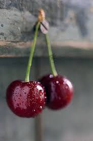 Cherry Seeds Red Heirloom Non-GMO High Germination Organic Garden Seeds for Planting