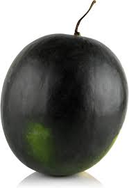 Black Diamond Watermelon Fruit Seeds for Planting Heirloom Non-GMO High Germination Organic Garden Seeds
