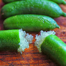 Finger Lime Fruit Seeds for Planting Heirloom Non-GMO High Germination Organic Garden Seeds
