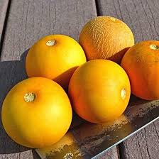 Peach Vine Mango Melon Cantaloupe Sweet Heirloom Non Gmo High Germination Organic Garden Flower